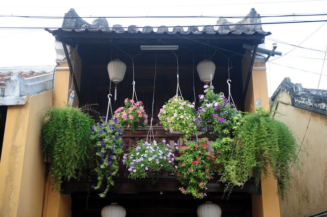 Các giỏ hoa dạ yến thảo điểm tô thêm cho không gian cổ kính của một ngôi nhà nhỏ trầm mặc giữa lòng phố cổ bình yên