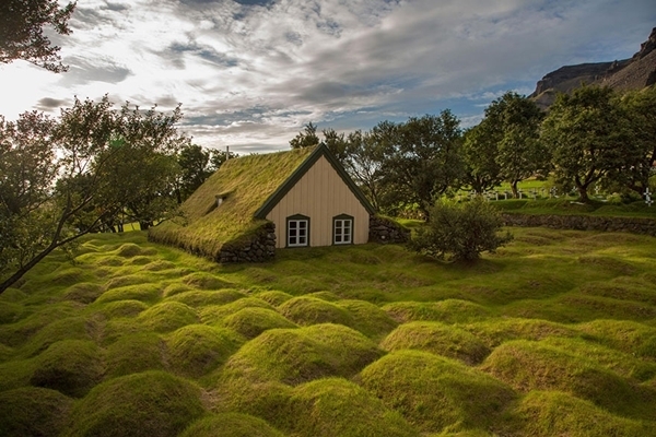 nhà thờ mái cỏ